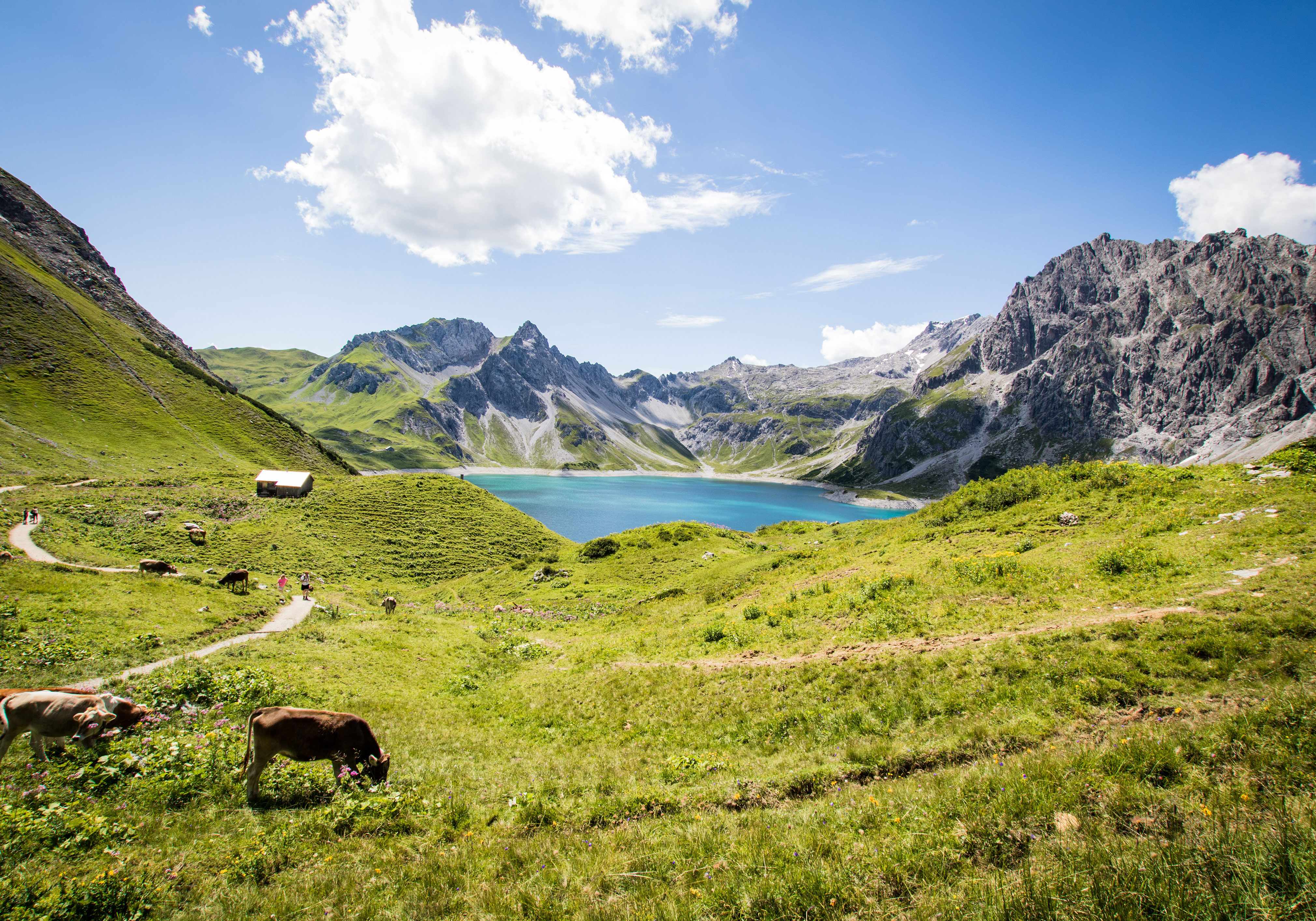 Summer, Brandnertal, Austria