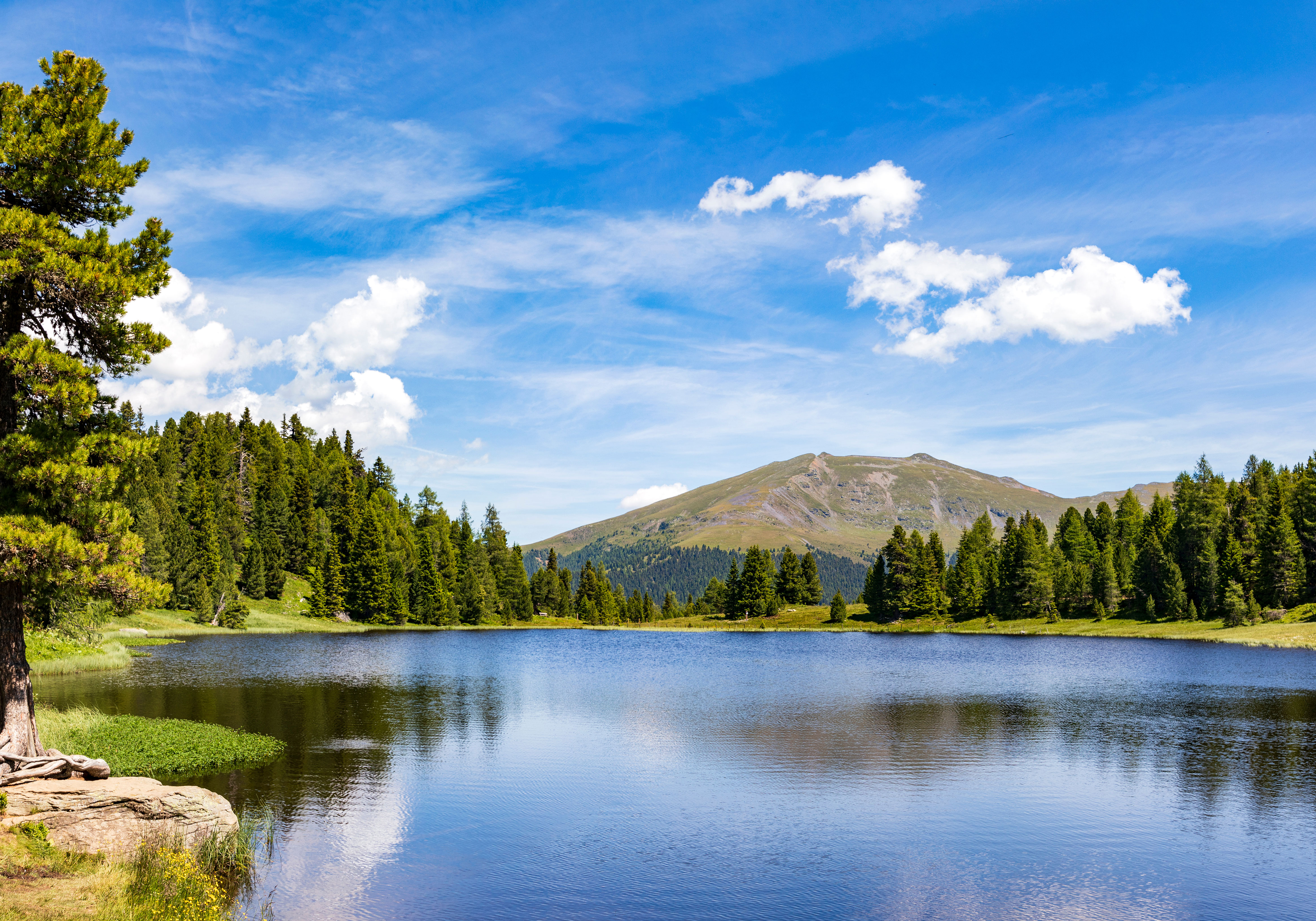 Summer, Turracher Höhe, Austria