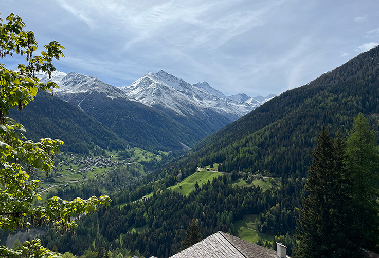 Grimentz, Chalet Wache