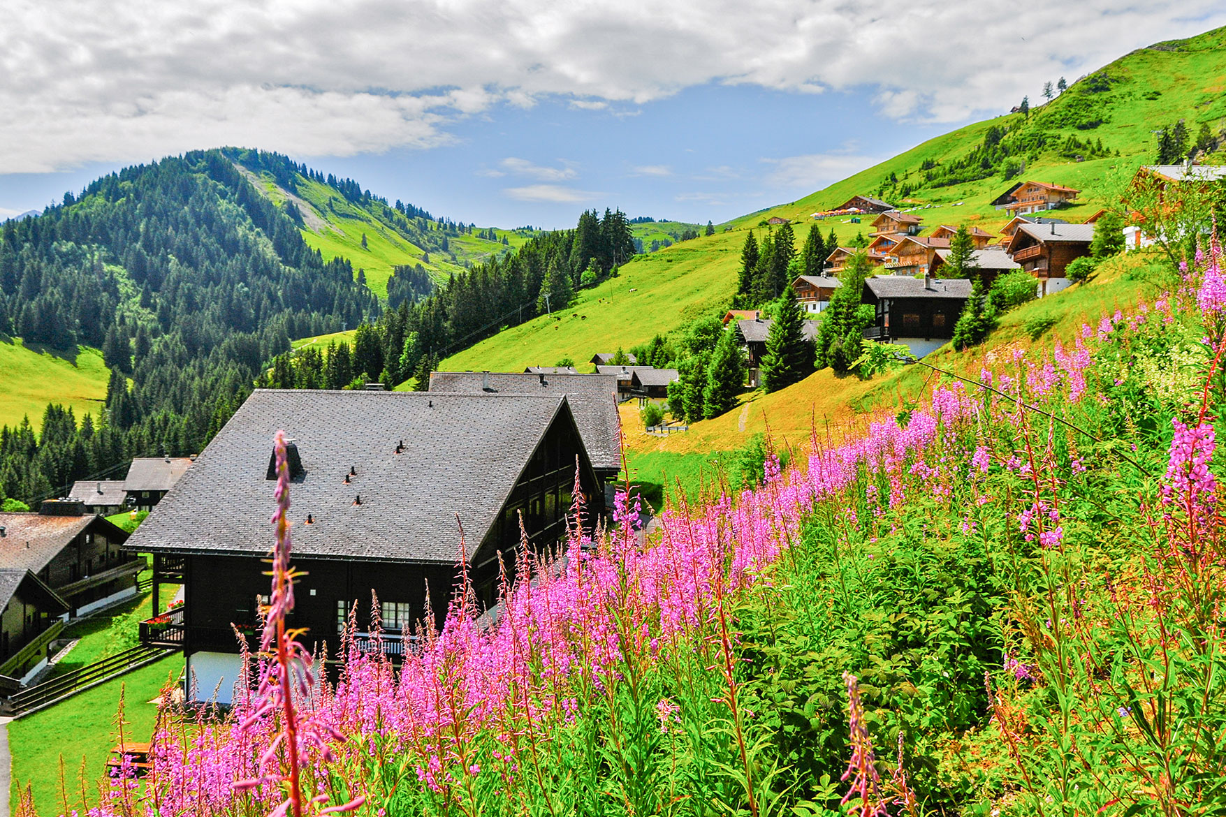 Portes du Soleil (CH), Schweiz