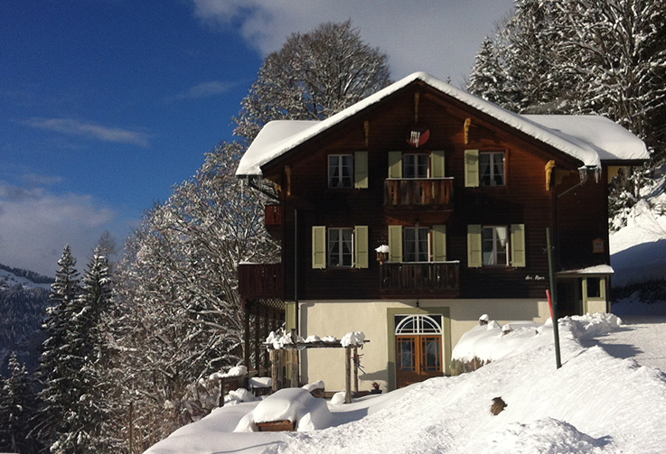 Wengen, Chalet Des Alpes