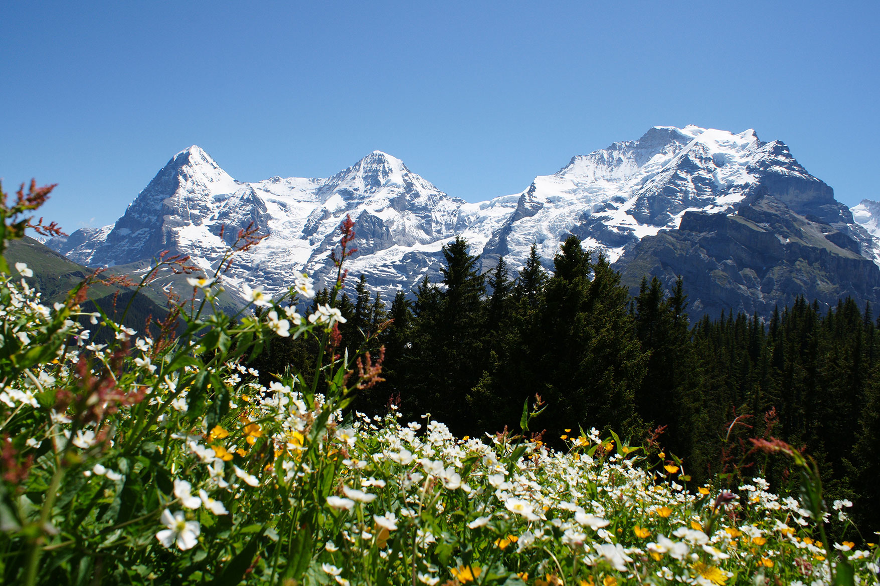 Wengen, Schweiz